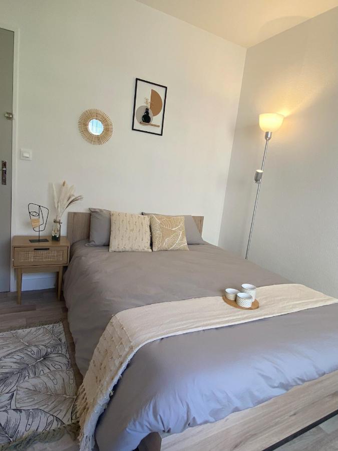 Confort & Elegance En Ville Avec Parking Gratuit Le Mans Bagian luar foto